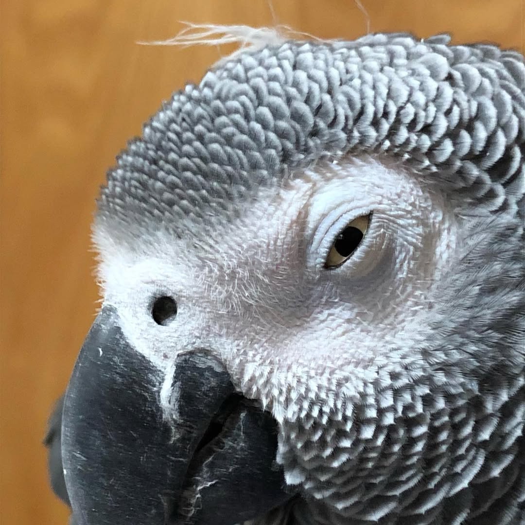 140762194_2793526484229572_4322751902321502160_n