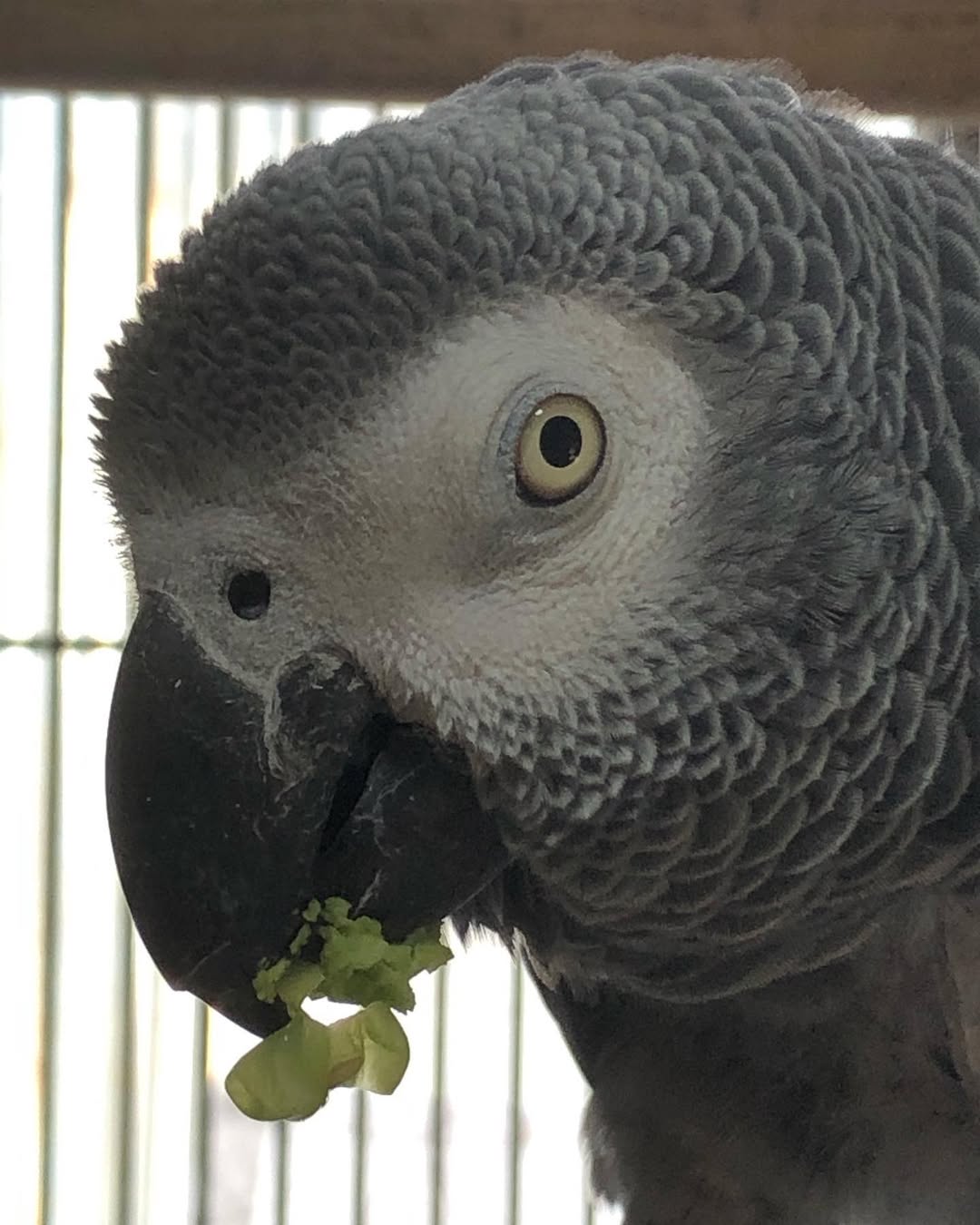 195213726_406292143800136_3368860523946136424_n