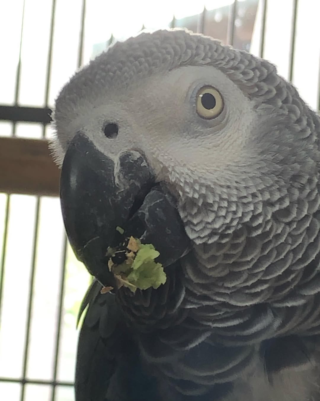 196066193_516487903032503_3922504955301156278_n