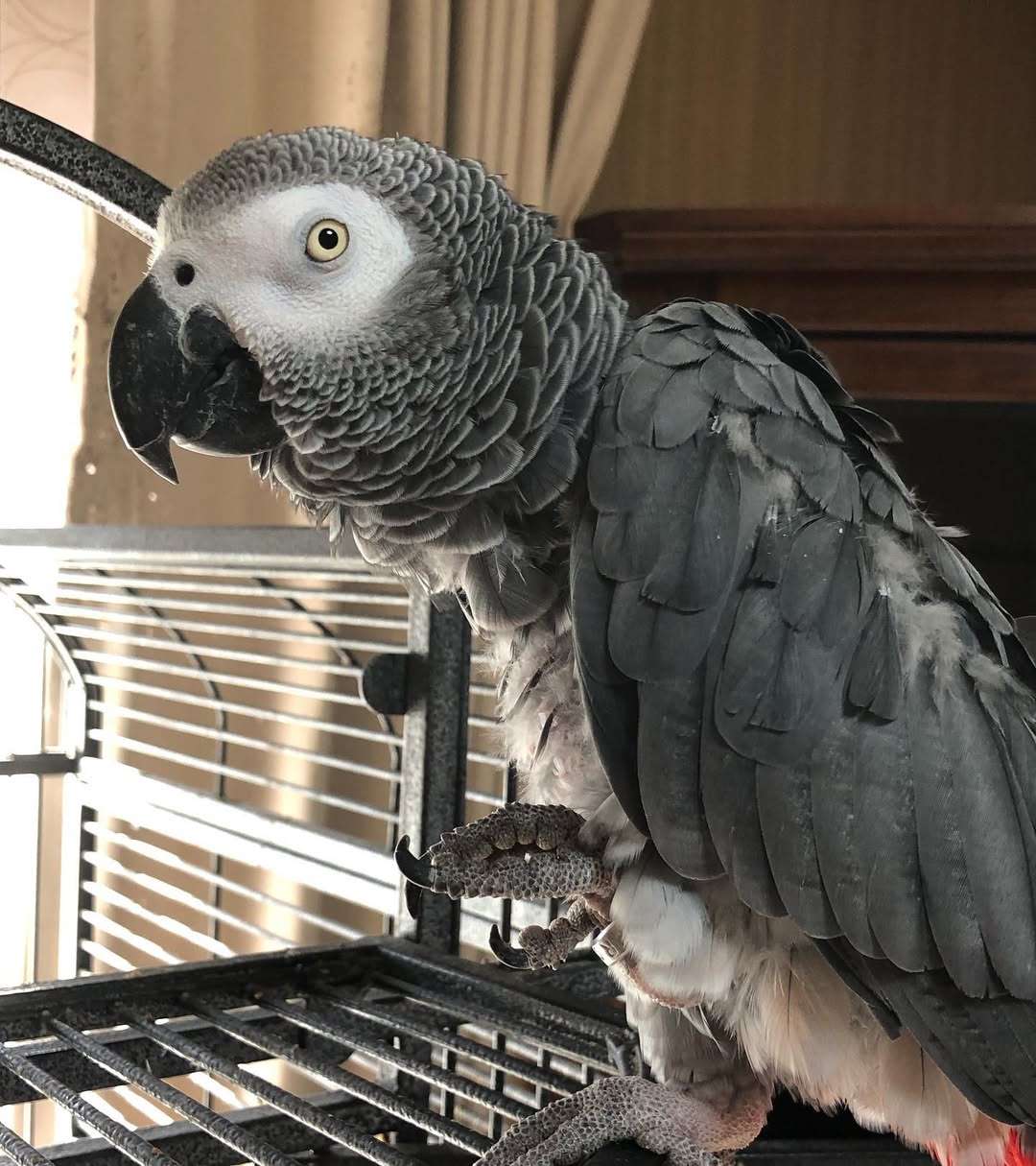 245540642_1563456407326577_5742464667306554544_n