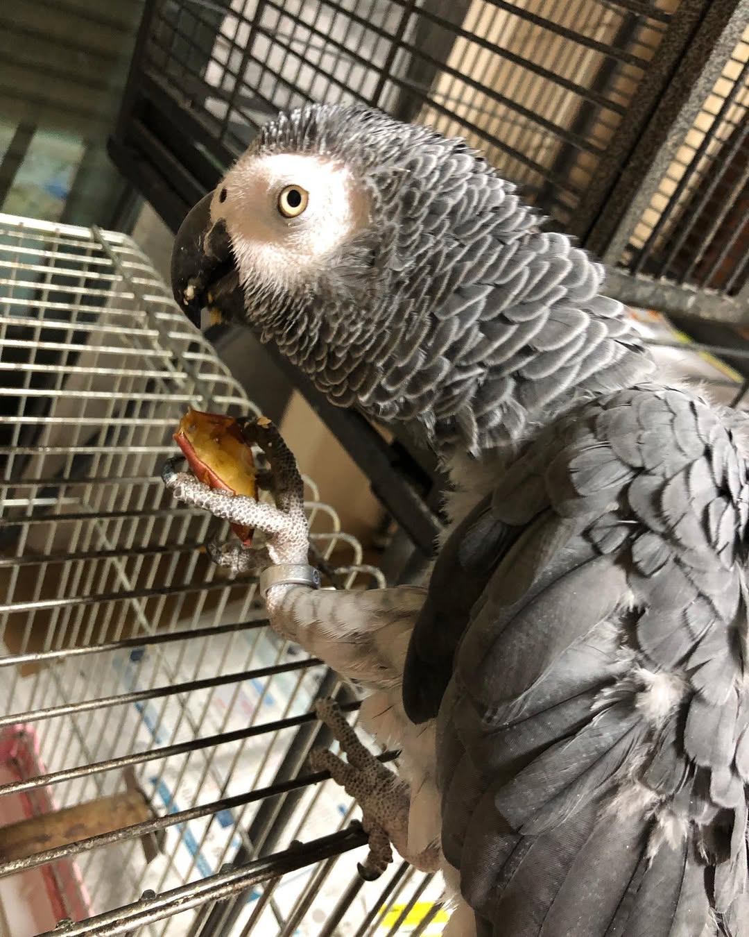 251093736_579600329957706_3738979555604402171_n