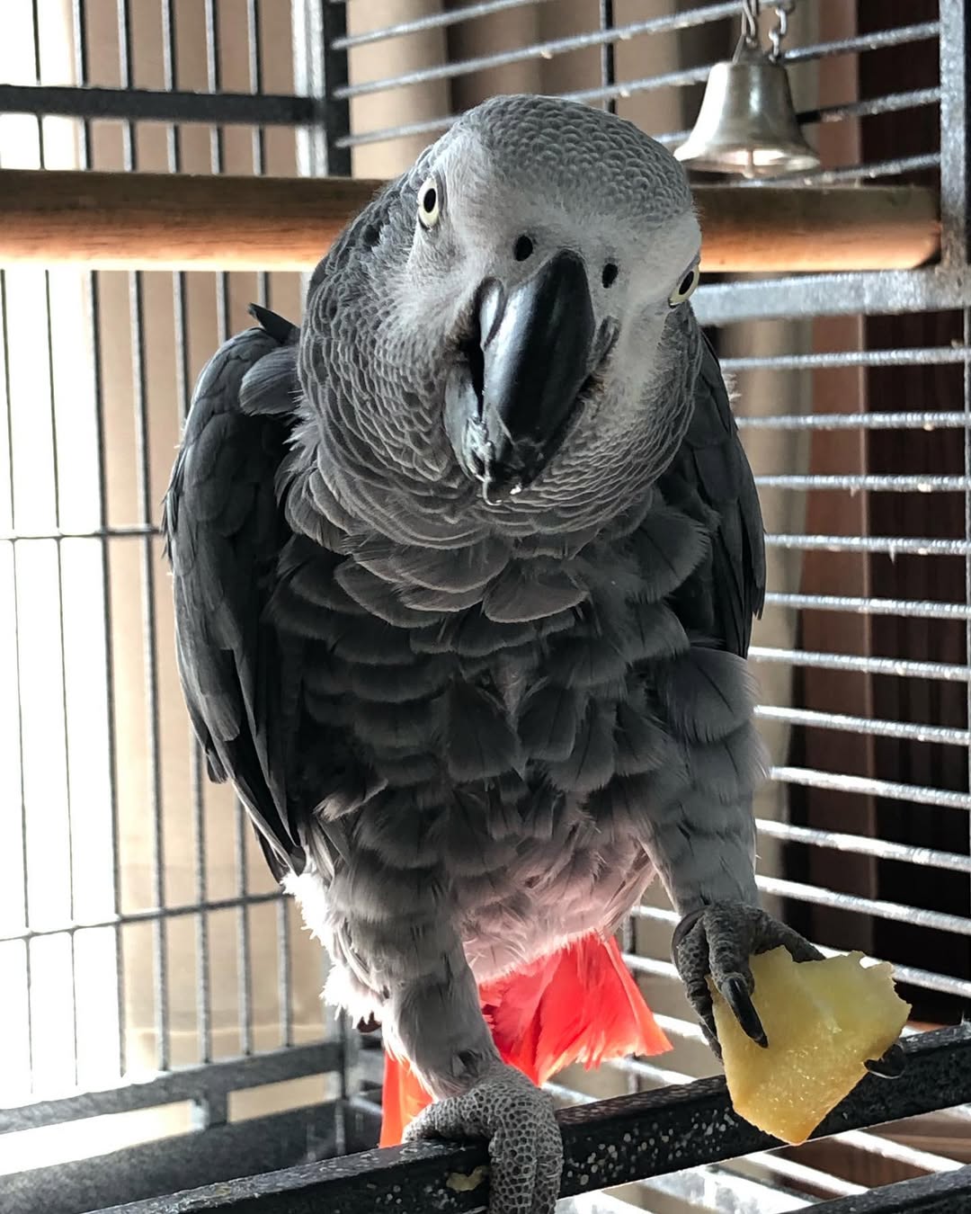 277359915_444901264052746_7857500251015841081_n