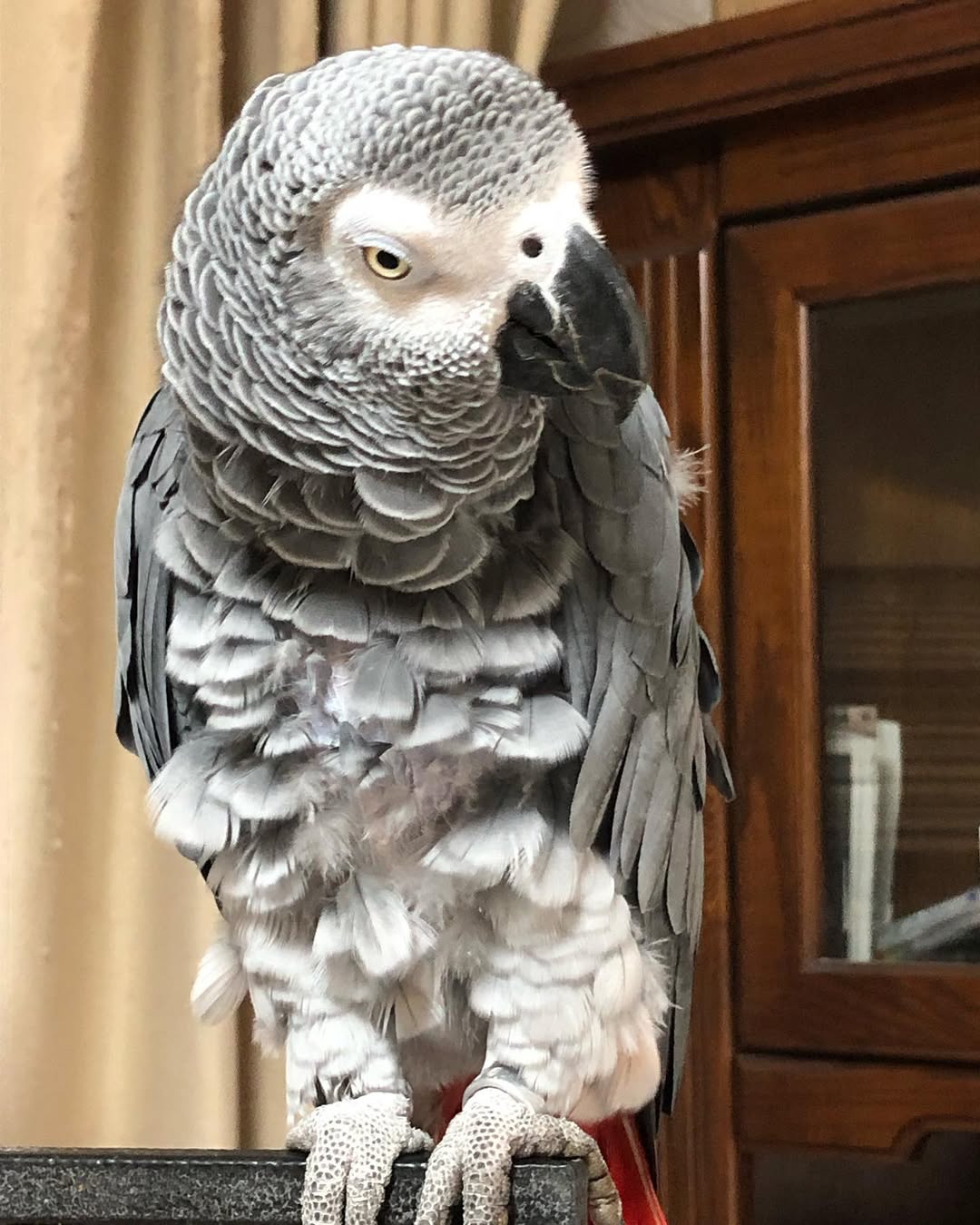 277450861_1824354281287654_7925799451025193043_n