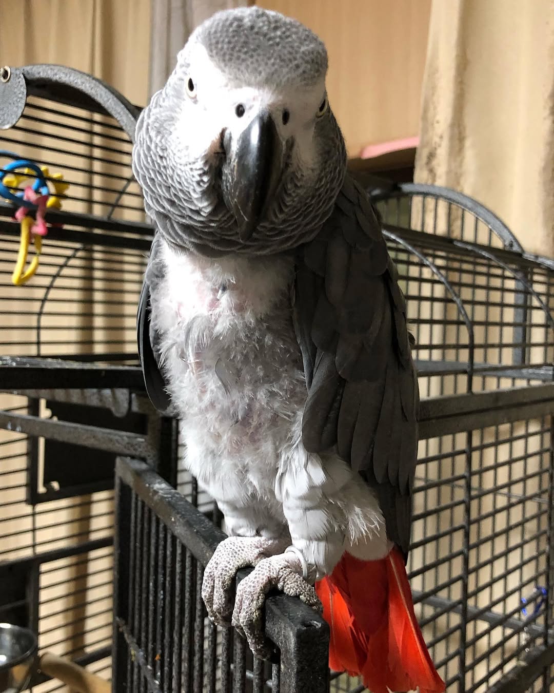 278763654_556740092747206_7919046192069312568_n