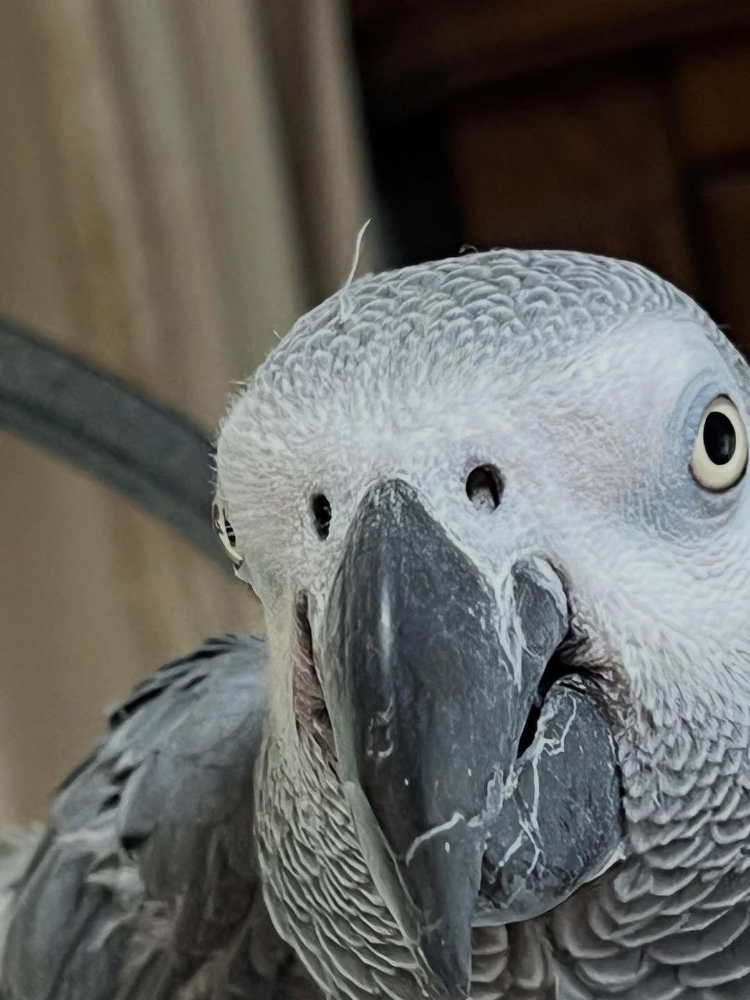 525131848_18272456854263615_3546712809471828696_n