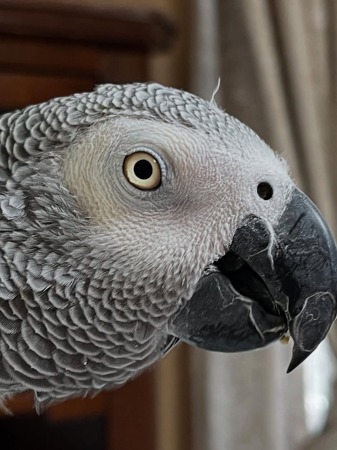 526084740_18272456845263615_2430496865790170003_n