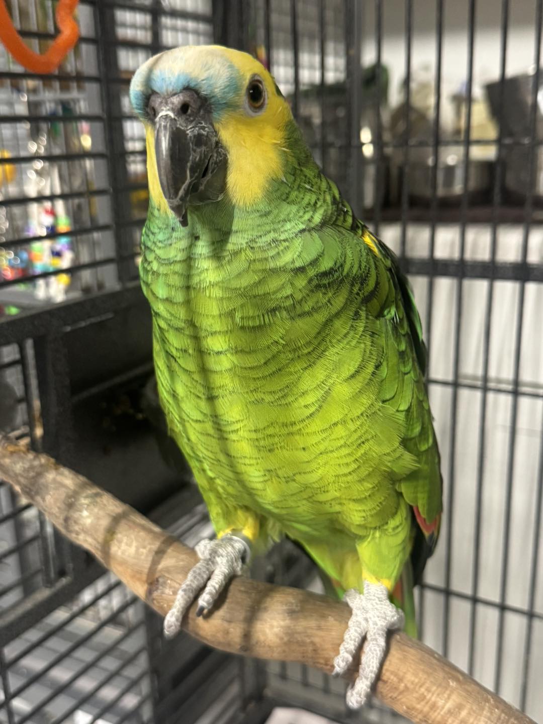 540449139_754442627339525_1567745055797831905_n