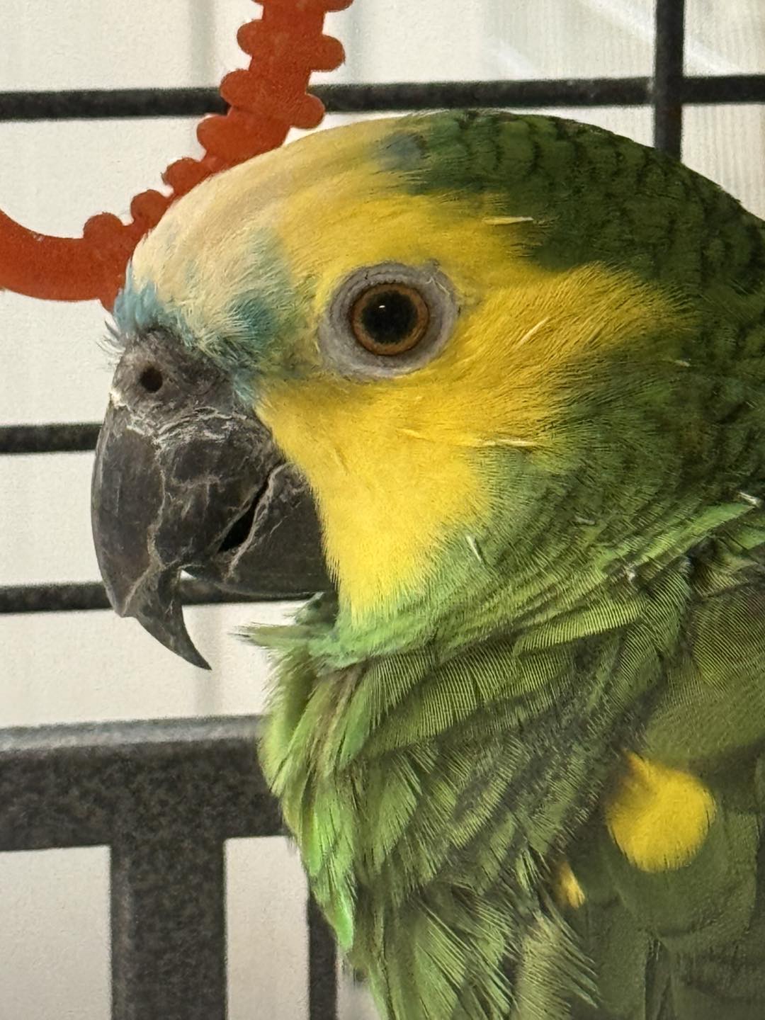 540493502_754442637339524_8756554585871552621_n