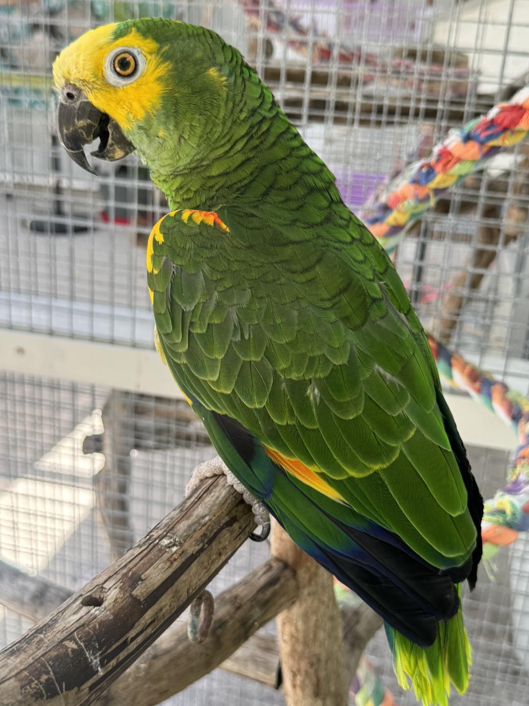 540974764_753289714121483_2451393947944322441_n