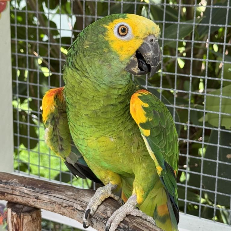 540976834_753289667454821_5599715130914550201_n