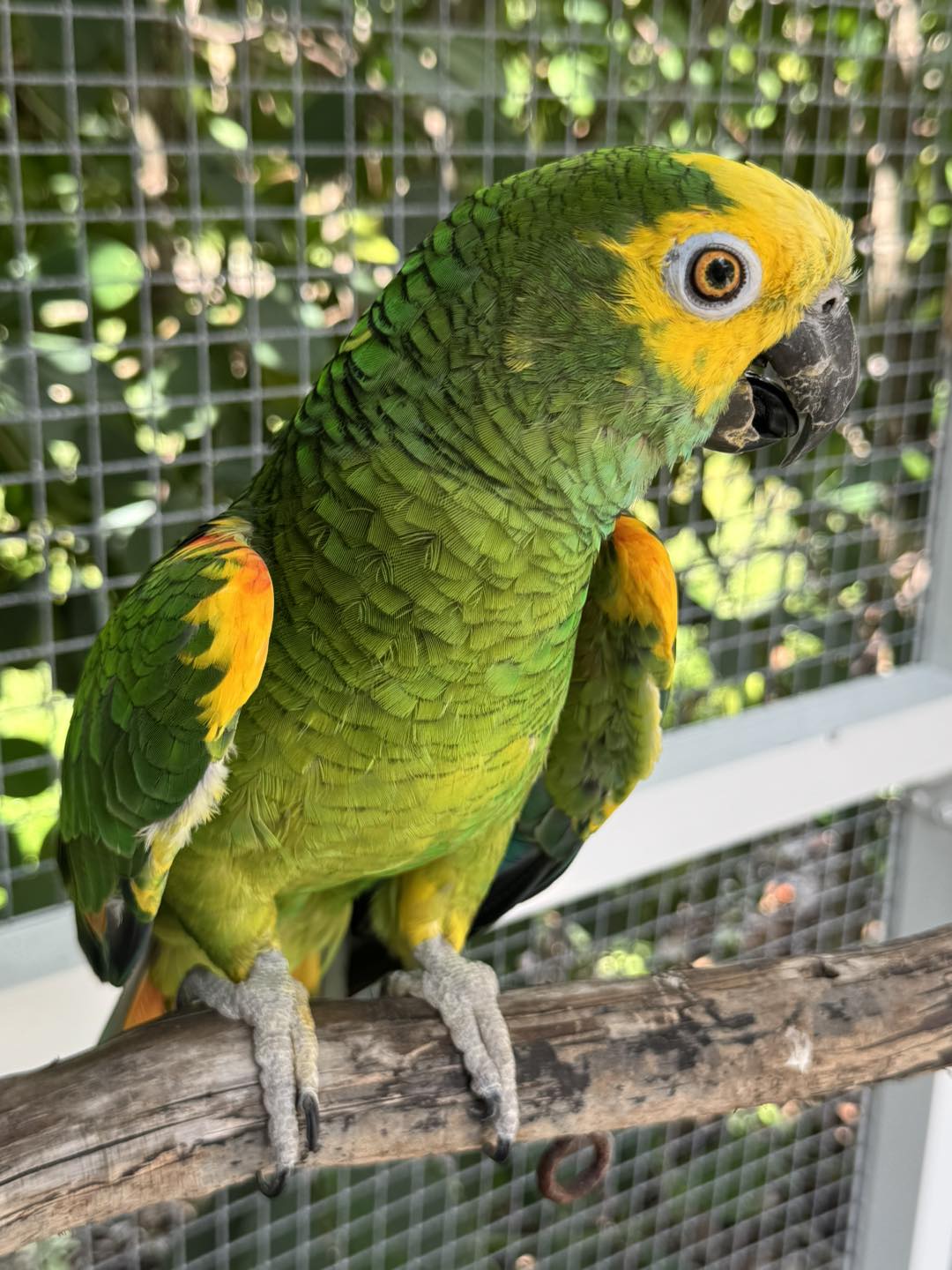 540994065_753289704121484_2743960764329530281_n