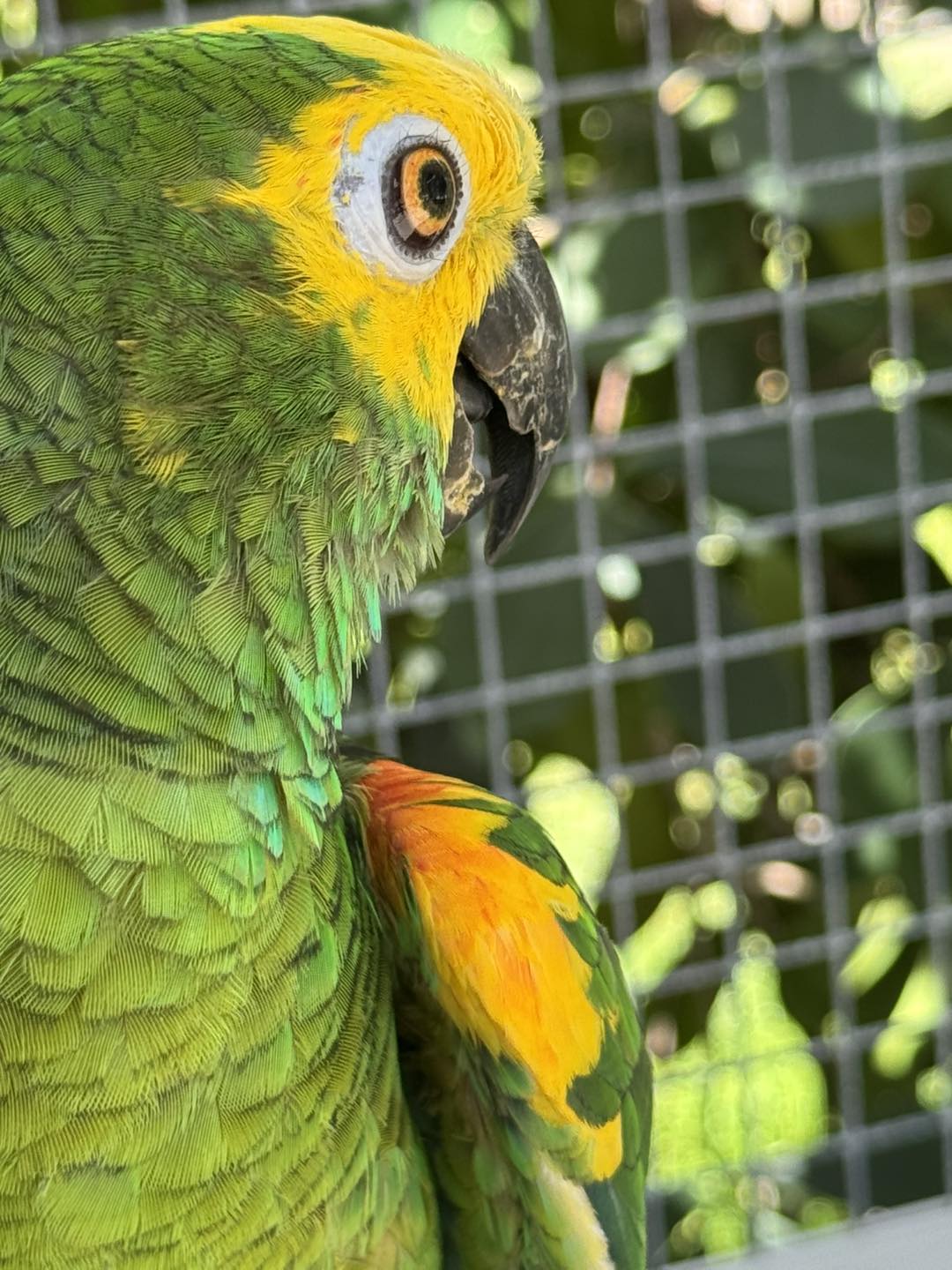 541152951_753289734121481_2949387453386697101_n