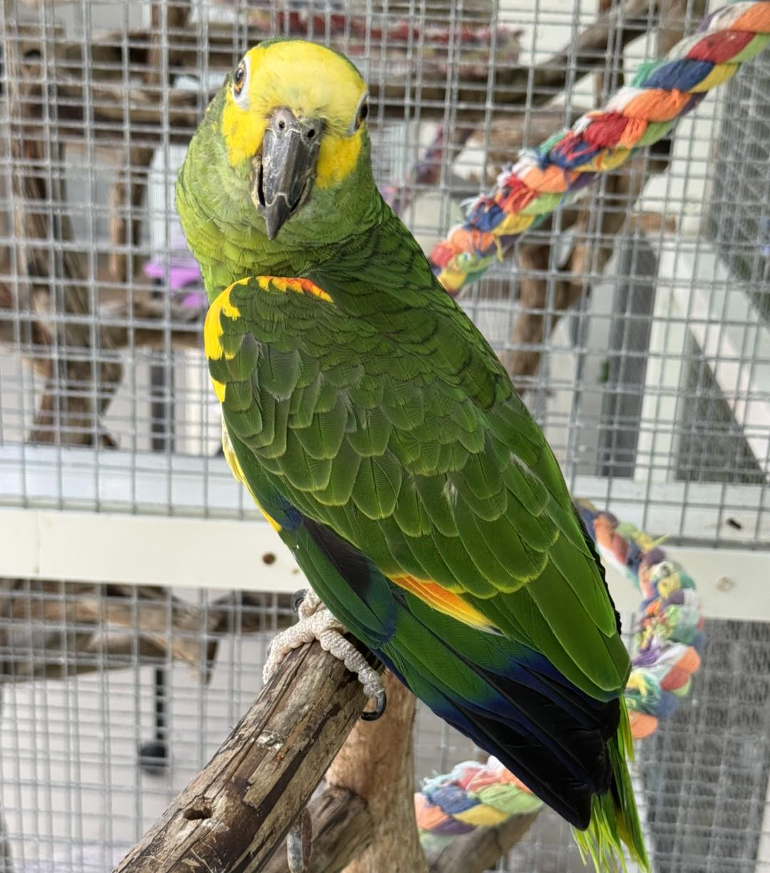 541507964_753289697454818_1332958407162493150_n