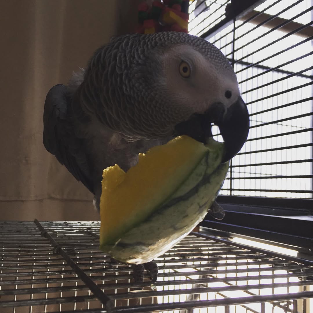 66102246_143788476819727_4021807225977378086_n