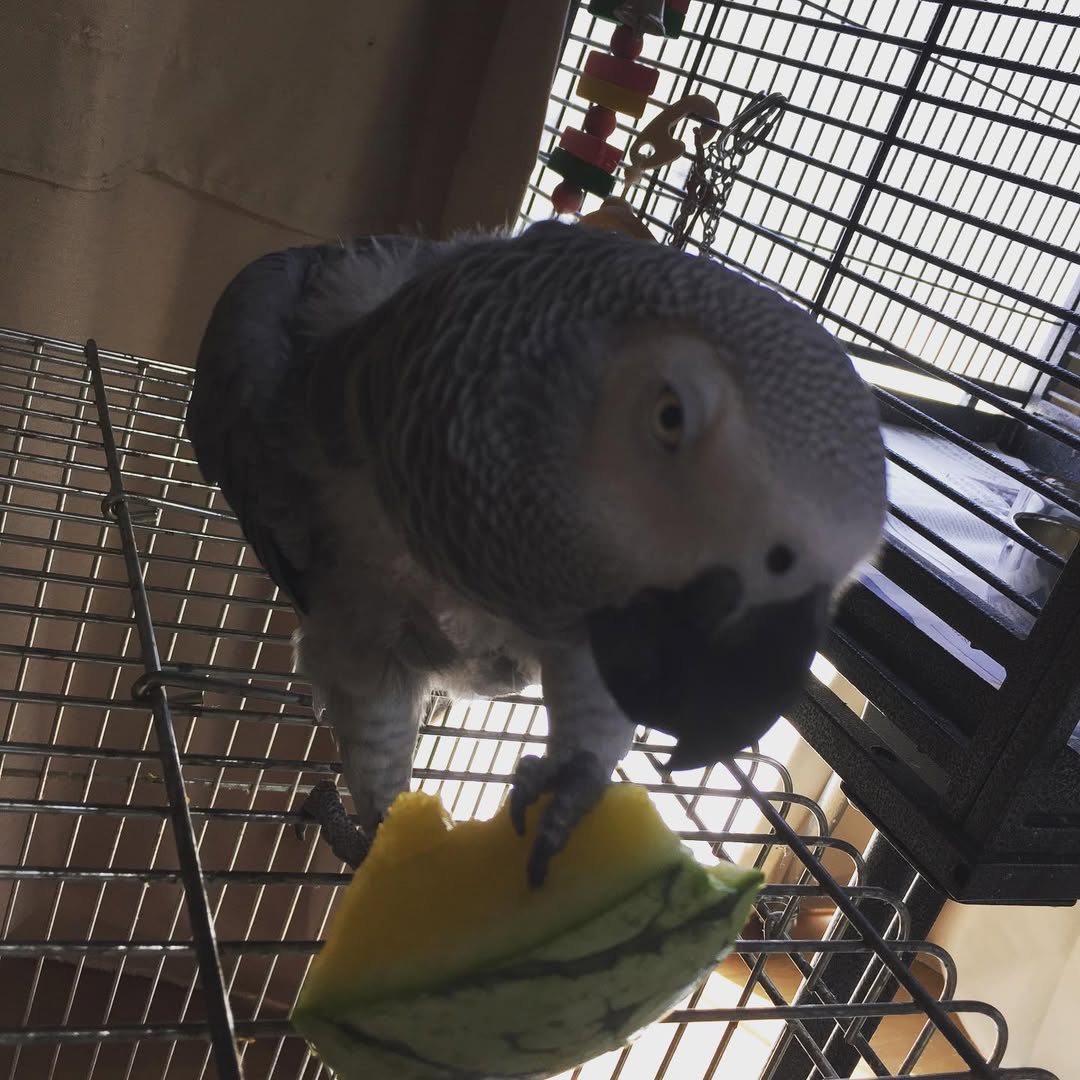 66400882_121458312470242_9104988324239104772_n