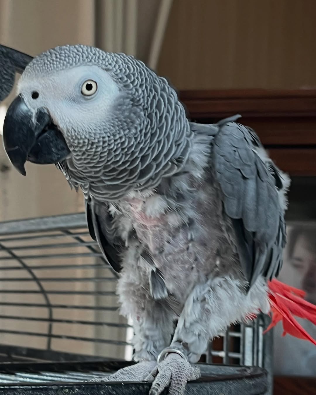 475741589_18253582684263615_6059310982511426153_n